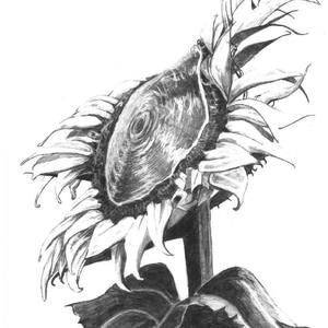 Meet your Posher, Heidi